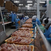 Fiyatlar cep yakarken ihracat katlandı