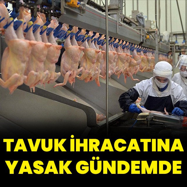 Tavuk ihracatına yasak gündemde