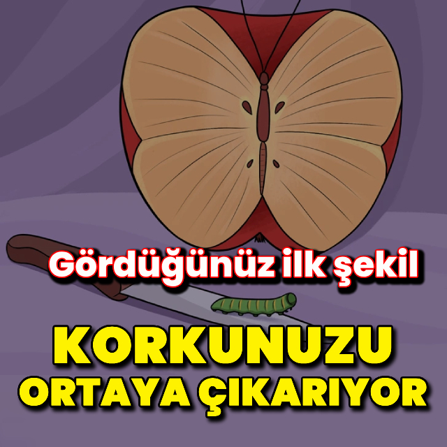 Gördüğünüz ilk şekil korkunuzu ortaya çıkarıyor!