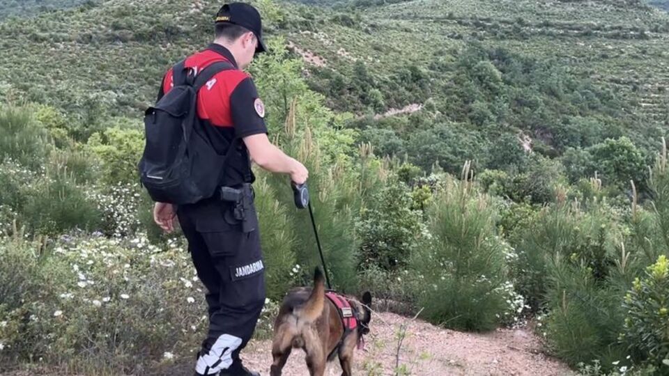 Arama köpeği kafatası parçası buldu