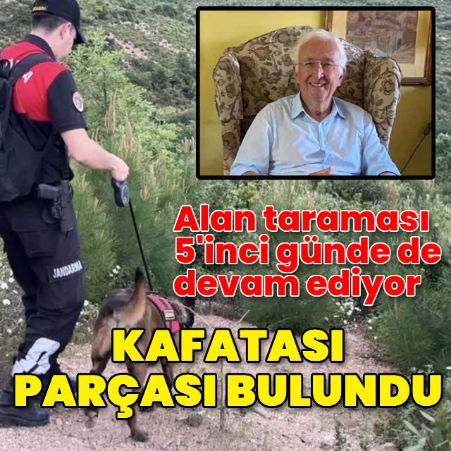 Arama köpeği kafatası parçası buldu