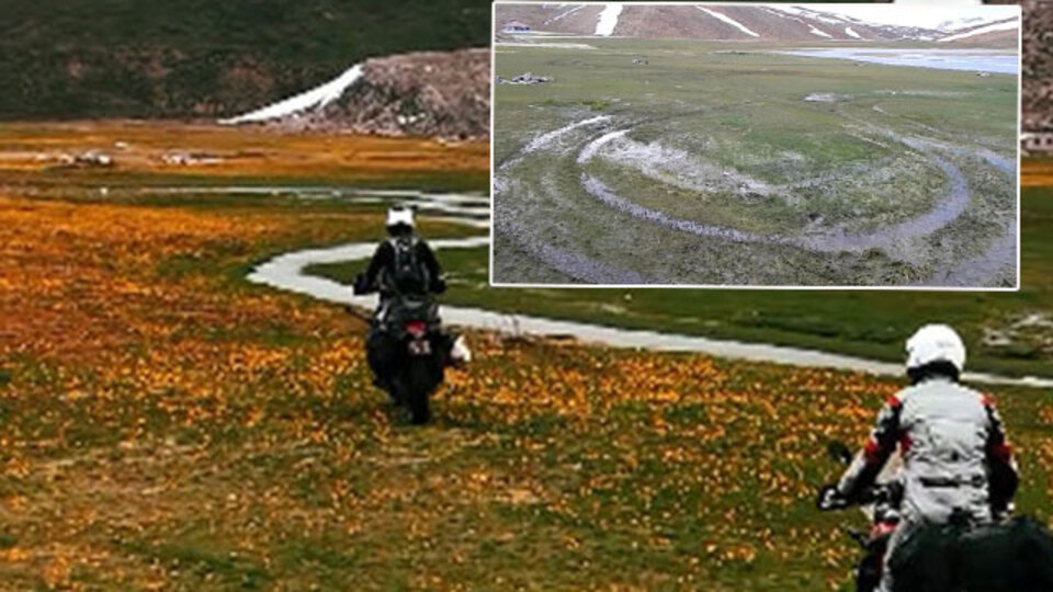 Endemik dağ lalelerinin üzerinde drift!