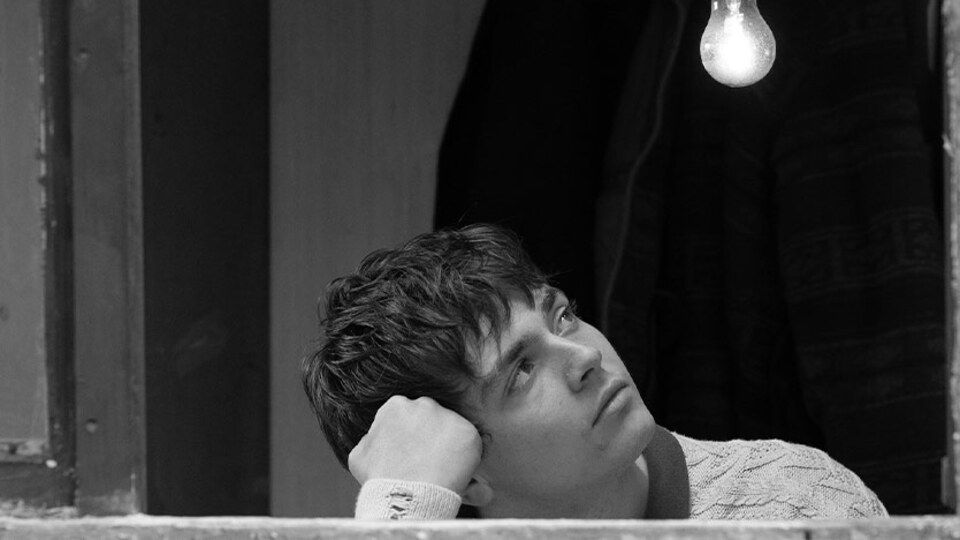 'Altın Lale' Yurt filminin oldu