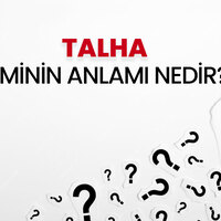 Talha isminin anlamı nedir?