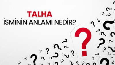 Talha isminin anlamı nedir?