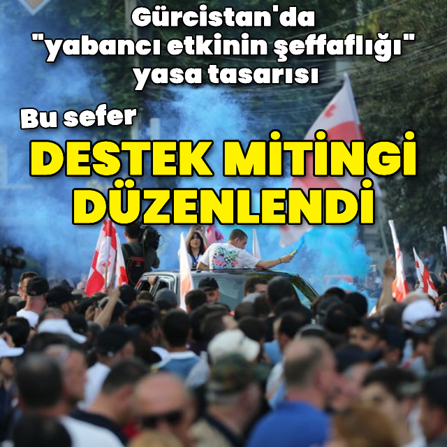 Gürcistan'da tartışmalı tasarıya destek gösterisi