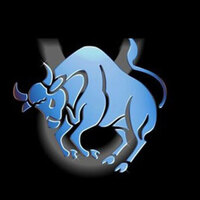 11 Mayıs hangi burç?