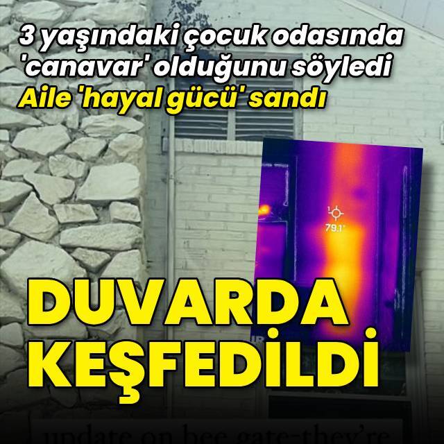 'Canavar' gördüğünü söyleyen çocuğun odasında keşfedildi