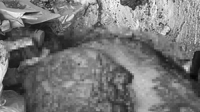 Sokaktaki deri parçalarından merdiven altı ameliyat çıktı!