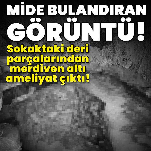 Sokaktaki deri parçalarından merdiven altı ameliyat çıktı!