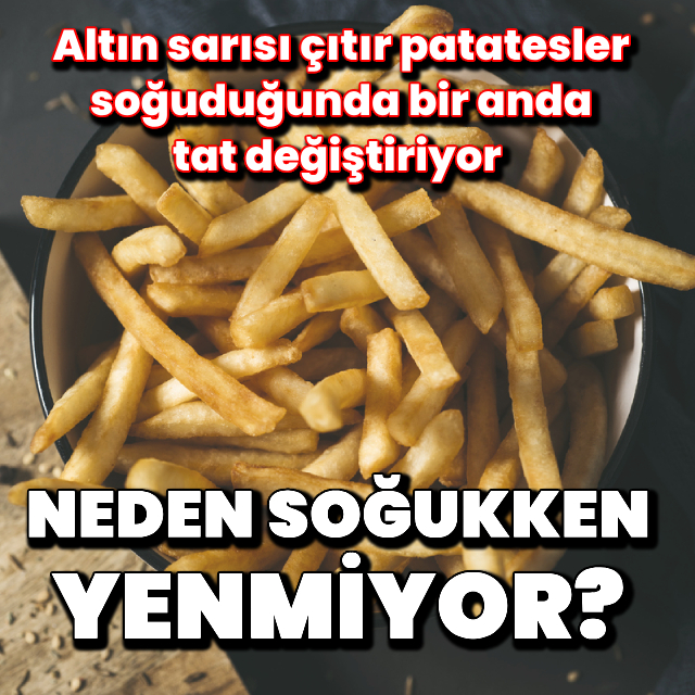 Patates kızartması neden soğuduğunda kötüleşiyor?