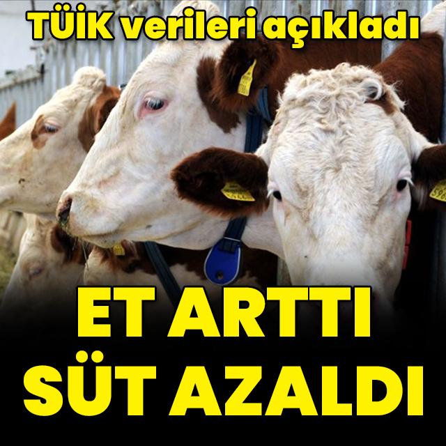 Et arttı, süt azaldı