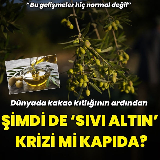 Dünyada şimdi de 'sıvı altın' olarak bilinen zeytinyağı krizi kapıda