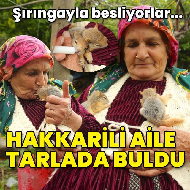 Şırıngayla besliyorlar... Hakkarili aile tarlada buldu!