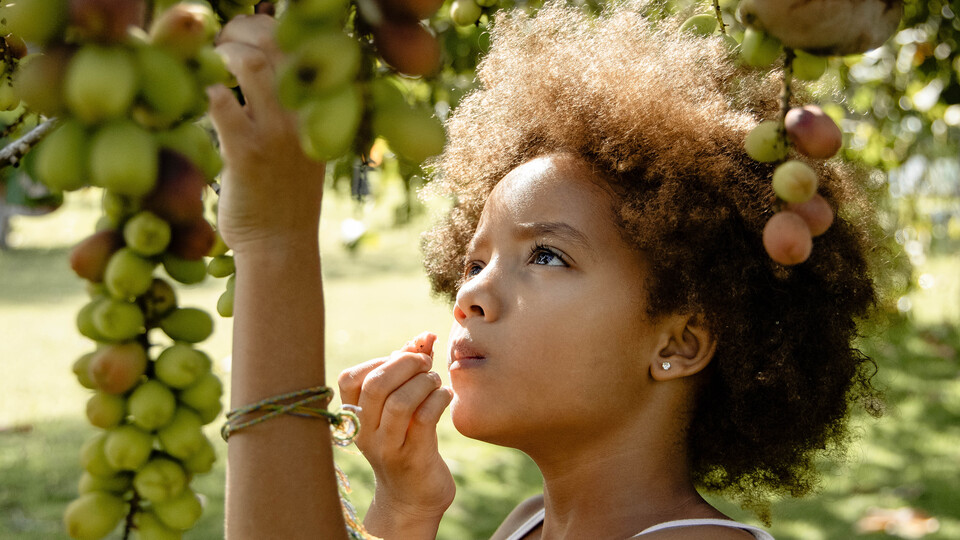 Kadın yönetmenler İstanbul Modern'de