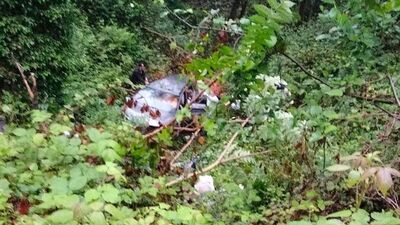 Gelin arabası dereye uçtu