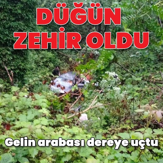 Gelin arabası dereye uçtu