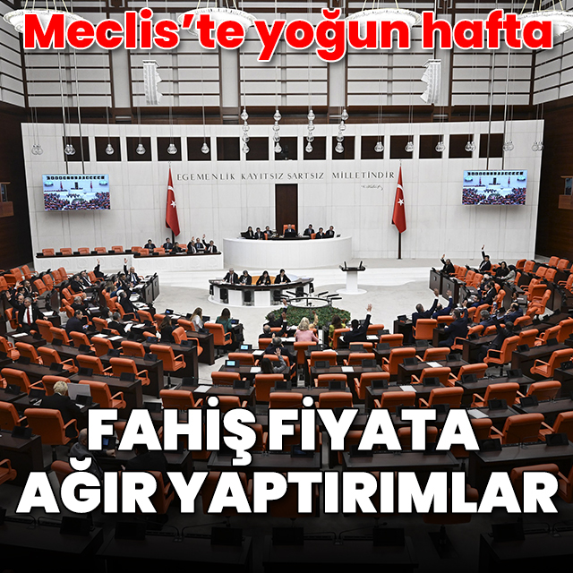 TBMM'de yoğun hafta: Fahiş fiyatla mücadele için yaptırımlar görüşülecek