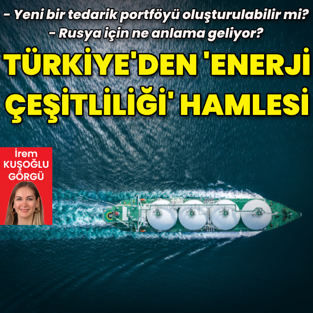 Türkiye'den 'enerji çeşitliliği' atılımı