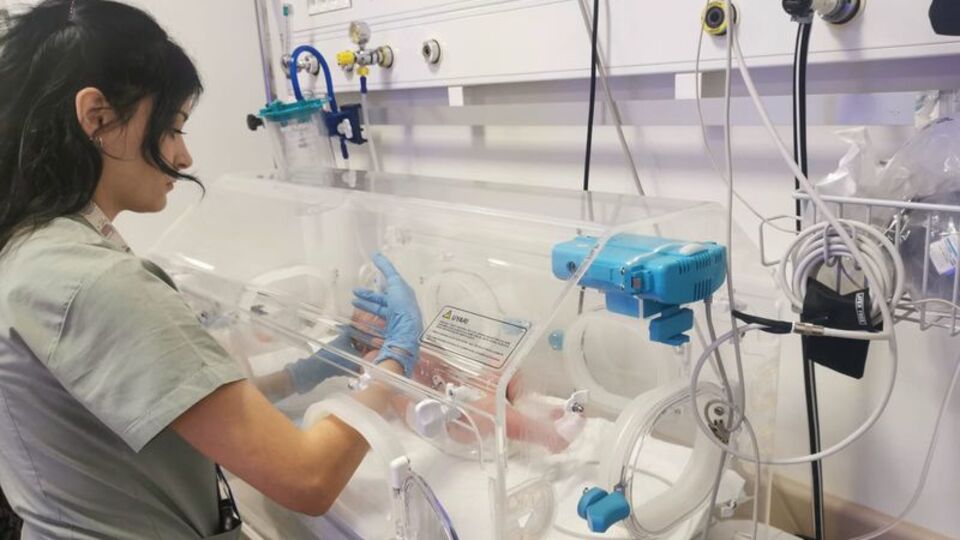 Yol kenarında terk edilmiş halde bulundu!