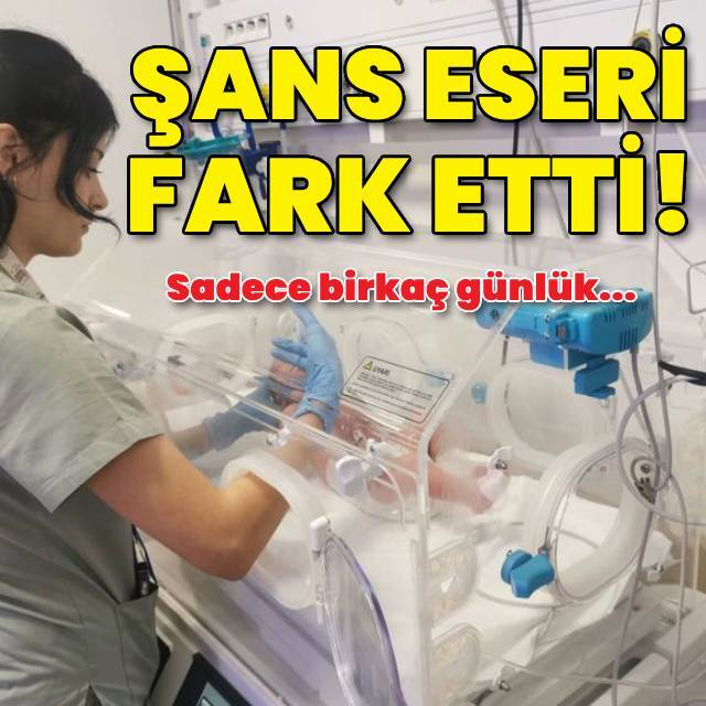 Yol kenarında terk edilmiş halde bulundu!