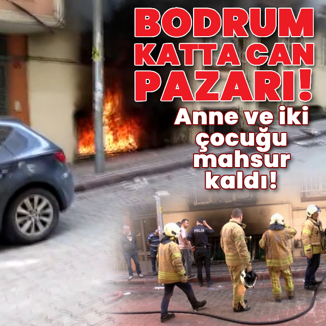 Bodrum katta can pazarı! Anne ve çocukları mahsur kaldı
