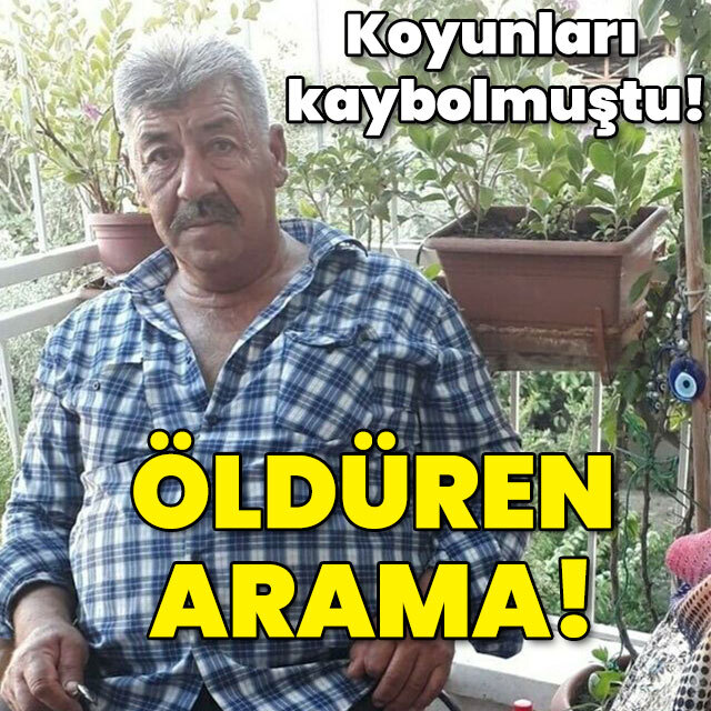 Koyunları kaybolmuştu! Öldüren arama!