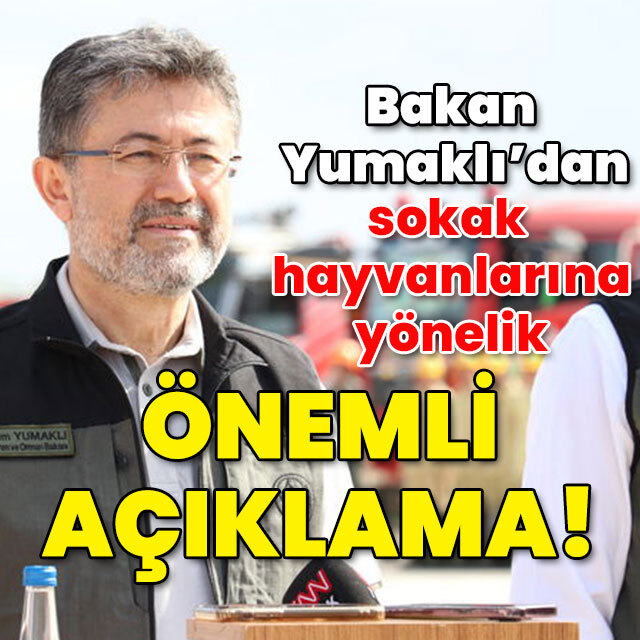 Bakan Yumaklı'dan sokak hayvanlarına yönelik çarpıcı açıklama!