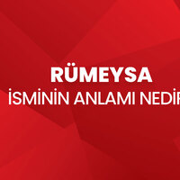Rümeysa isminin anlamı nedir?