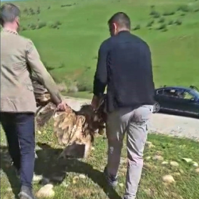 "Sağlık polisi'ni silahla vurdular, profesör isyan etti