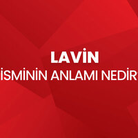 Lavin isminin anlamı nedir?