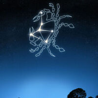 11 Temmuz hangi burç?