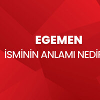 Egemen isminin anlamı nedir?