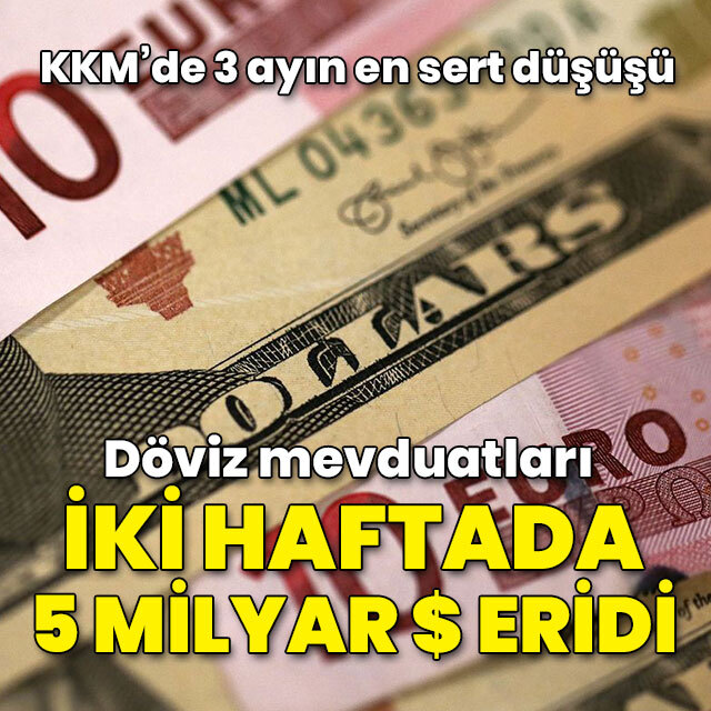 Döviz mevduatları 2 haftada 5.2 milyar dolar eridi