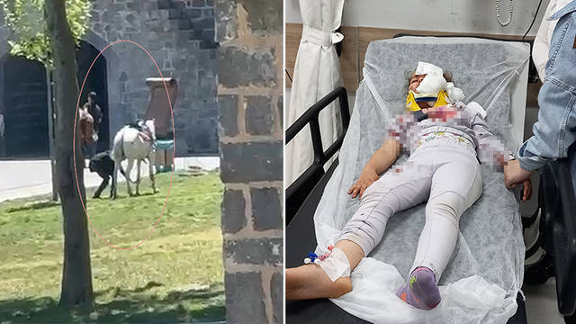 Piknik yapanların arasına at daldı
