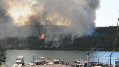 Bodrum'da ormanı yakan sanığa 2 kez ağırlaştırılmış müebbet