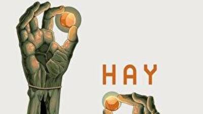 Sait Faik Hikâye Armağanı 'Hay'ın oldu