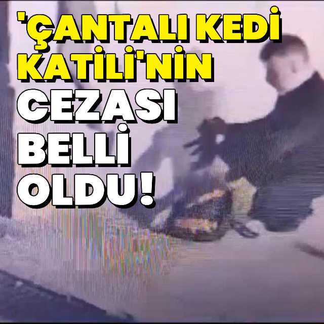 Bir kedi katili için daha hapis cezası!