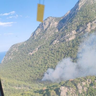 Antalya'da korkutan orman yangını!