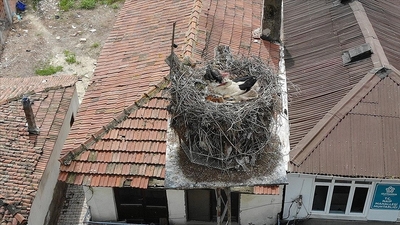 Leylek 'Gelendost'un hareketleri 24 saat izlenecek