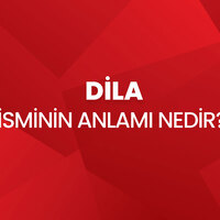 Dila isminin anlamı nedir?