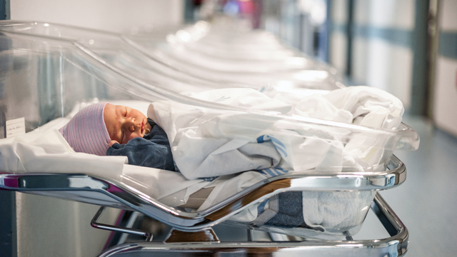  Bütün dünya alarmda! Artık yeterince bebek doğmuyor