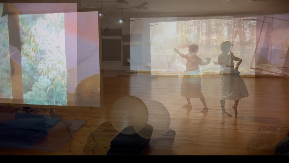 Arter'de 'Deniz Kuyrukları Performansları'