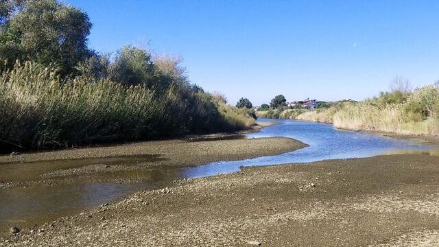  Türk bilim insanları dünya literatürüne kazandırdı