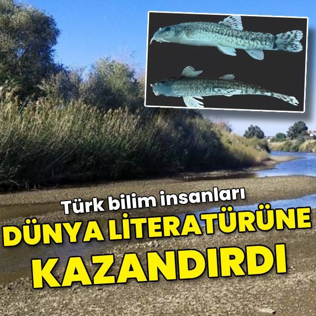 Türk bilim insanları dünya literatürüne kazandırdı