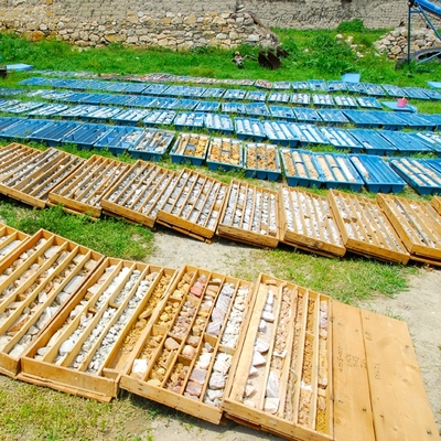 CVK Maden'den satın alma