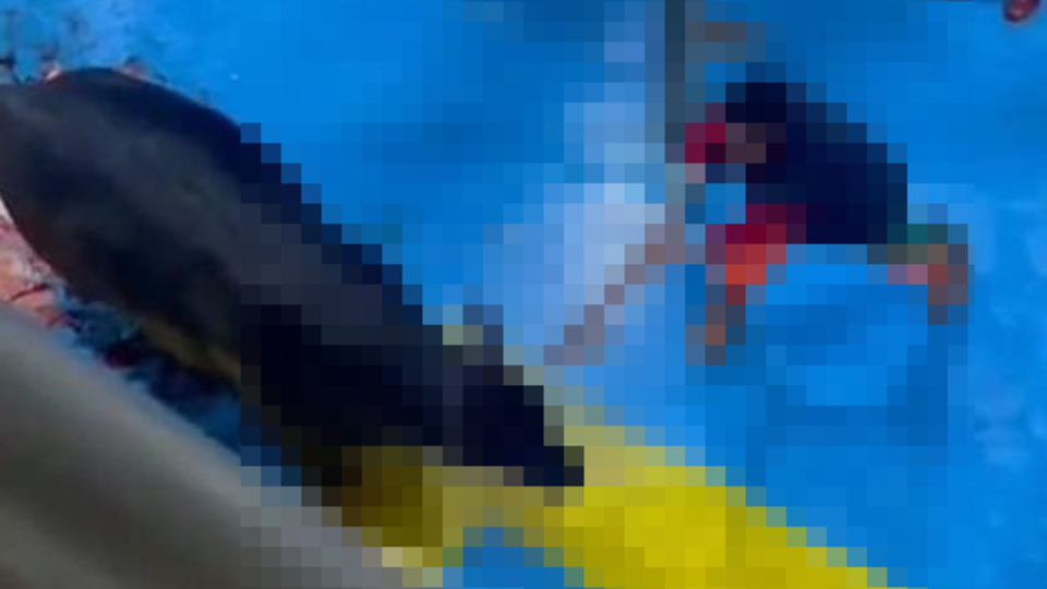 Et tesisinde eziyet! 5 gözaltı