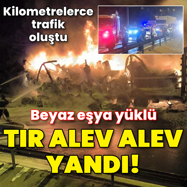TIR’ın dorsesi alev alev yandı