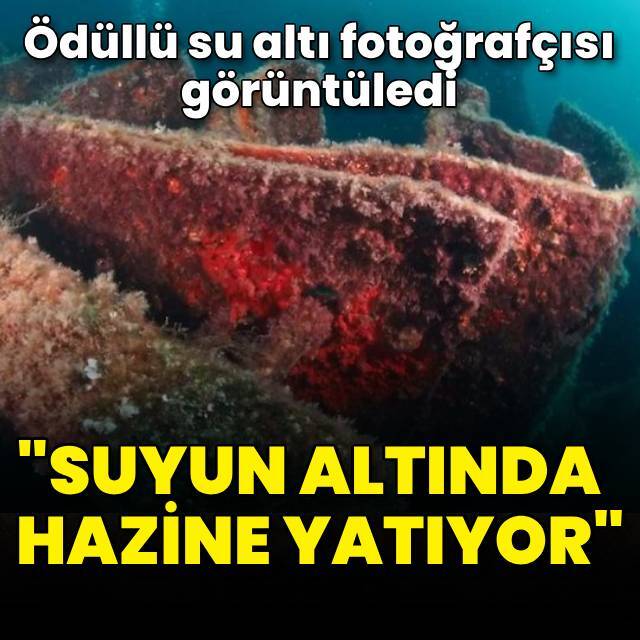 Ödüllü su altı fotoğrafçısı görüntüledi