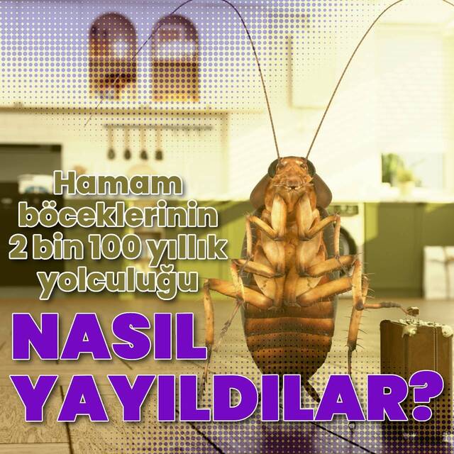 Dünyaya nasıl yayıldılar?